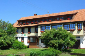 Гостиница Landgasthaus Engel - Naturparkwirt, Хёхеншванд